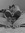 Evelyn Colburn | 1 comments
