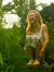 Hailey
