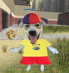 kiki