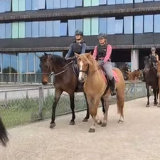 maelle_lqt &#x1f49a;Mel&#x1f49a;