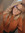 Taylor (taylorhobbs) | 2 comments