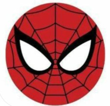 SpidermanI4Real