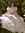 Alexis | 4 comments