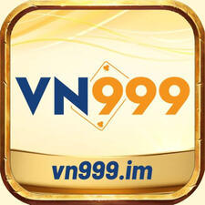 Vn999im
