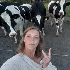 Allison Kallberg
