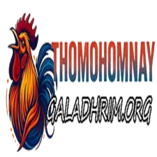 THOMOHOMNAY XEM TRỰC TIẾP ĐÁ GÀ