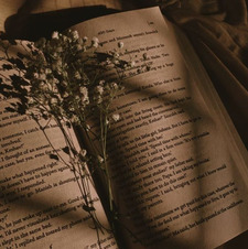 Av (Shakespeares Version)