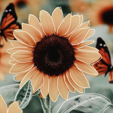 Makinley (Gibsie’s  version)