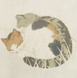 ˖ ࣪⊹