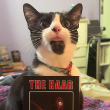 Jada Reads Horror