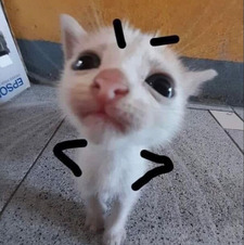 Sam