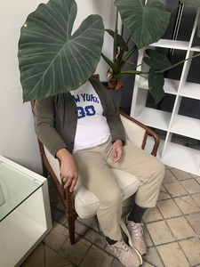 Andrew Ignacio