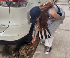 gracie! (patrick feelys version)