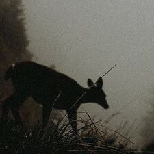 ro