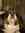 Digby Fox