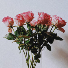 nutella ₊˚⊹ ᰔ