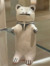 Bob