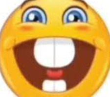 hafsa