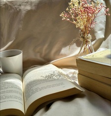 I'm Reading Books