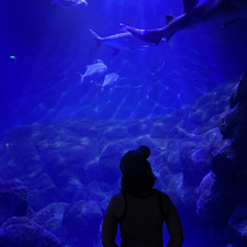 ੈ✩Jeanne ‧₊˚