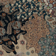 زهراء  أحمد 