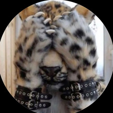 naomi ✮⋆˙ ❦ ౨ৎ