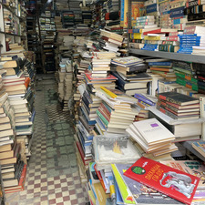 Stephanie Camillieri