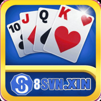 8svn Xin