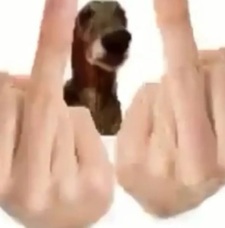 Ganbleid