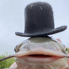 Tim