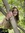 Kelly Pratt (kellypratt1) | 2 comments