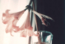 &#x1d4dc;&#x1d4f2;&#x1d4f5;&#x1d4ea;