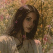 Verona ೀ⋆｡˚ ❀