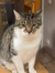 Simon0807