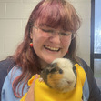 Pigsthatwheek
