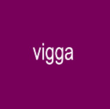 vigga