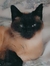 Béré