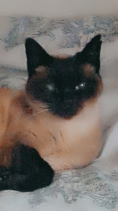 Béré
