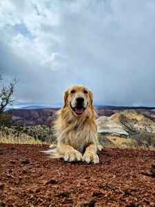 Casey