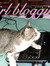 berfi