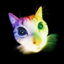 lex ⊹ ࣪ ˖୨ৎ‧₊˚ ⋅