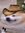 Gerald