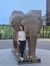 Amy Mason