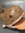 member photo member photo