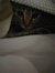 Fluffydakitty