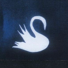 ⁺˚⋆｡°✩Blanka✩°｡⋆˚⁺