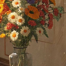 Halt dein paul bitte