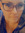 member photo member photo