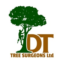 DT Tree  Surgeons Ltd
