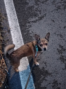 Mariachiara Cicerone